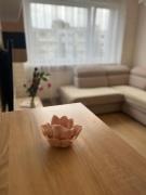 Aurora Apartment close to the city centre and the sea