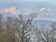 Top Saaldorf-Surheim