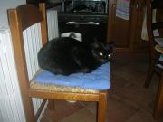 Affittacamere La Fornace