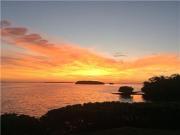 Top Tierra Verde Top Tierra Verde