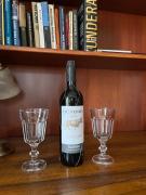 Top Kožlí u Orlíka