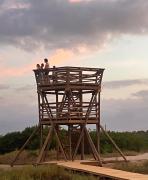 Top La Punta de los Remedios