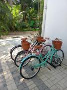 Top Playa del Carmen