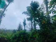 Top Sakleshpur