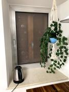 Top Citta' Sant'Angelo