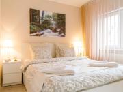 Zen Life Luxury Apartment - Herastrau