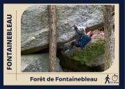 Le Logis de Fontainebleau - Appartement Confort - Centre