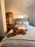 Room Near Airport Dog Lovers Welcome