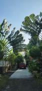Top Santo Domingo