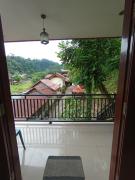 Wonderfull Orangutan sumatra hostel and tour