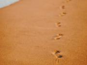 Top Saint-Hilaire-de-Riez