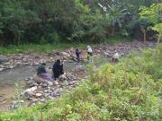 Top Ciherang Kulon 2