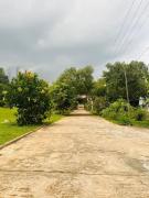 The Forest Creek by Living Circle The Forest Creek by Living Circle