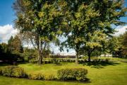 Top Dorval