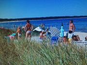 Top Laholm Top Laholm