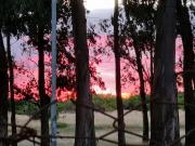 Top Ensenada
