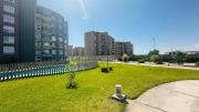 Top Arica