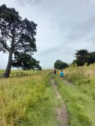 Top Colonia Chapadmalal