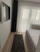 Top Petroşani Top Petroşani