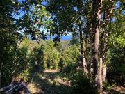 Top Valdivia Top Valdivia