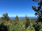 Top Valdivia Top Valdivia