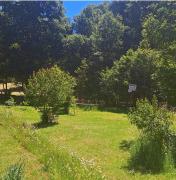 Top Pucón Top Pucón