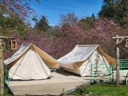 Khu Gghỉ Dưỡng glamping Pa Sỹ