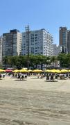 Top Santos