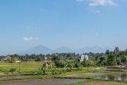 Top Ubud