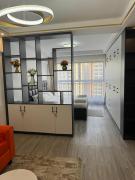 Alina ridge apartments