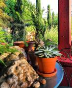 Top Saint-Sylvestre-sur-Lot Top Saint-Sylvestre-sur-Lot