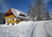 Top Titisee-Neustadt