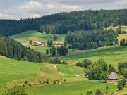 Top Titisee-Neustadt