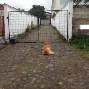 Casa de huéspedes San Antonio