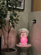 Top Poznań Top Poznań