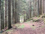 Top Xonrupt-Longemer