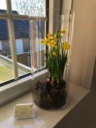 Top Deurningen Top Deurningen