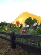 Top llifen Top llifen