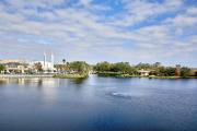 Top Orlando