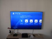 Top Borso del Grappa