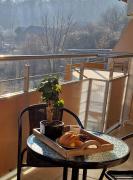 Grand Apartman - 5 Star Luxury Podhajska Apartman