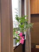 Suite 629 Near IT Park