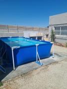 Top Graafwater