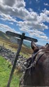 Top Coldstream Station