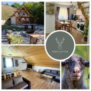 Forest Cottage 2024 Forest Cottage 2024
