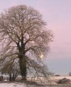 L Instant d une nuit L Instant d une nuit