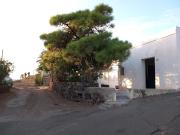 Top Pantelleria