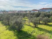 Top Madonna della Pace