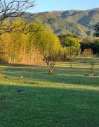 Top Campo Quijano Top Campo Quijano