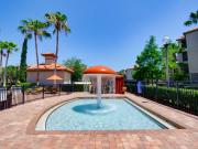 Top Kissimmee Top Kissimmee